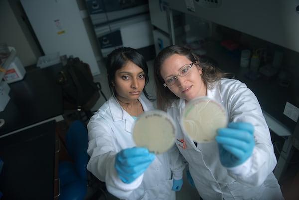 A student and her professor inspect petri dishes.